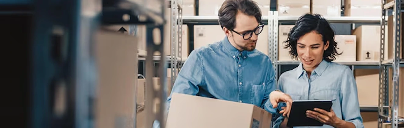 Business partners working together