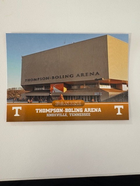 Panini Card Thompson-Boiling Arena 