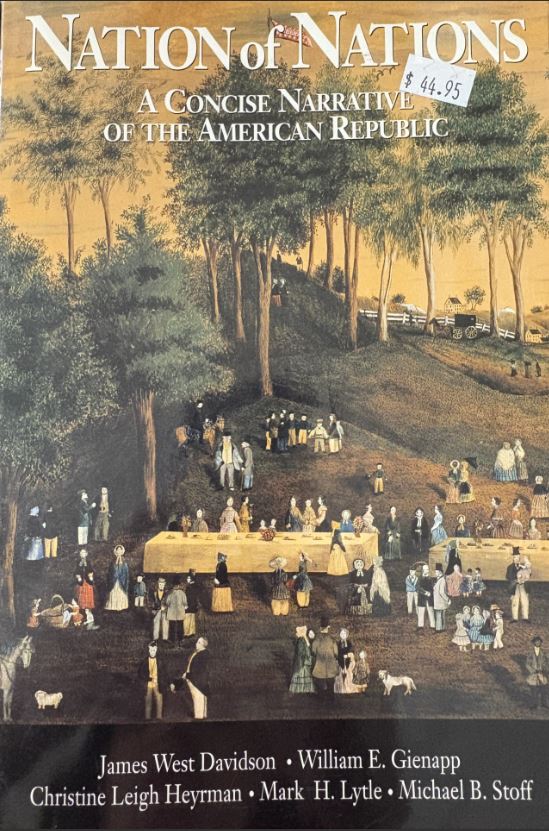 Nation of Nations: A Narrative History of the American Republic, Vol. 2